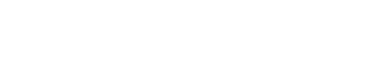 Twin House Biz